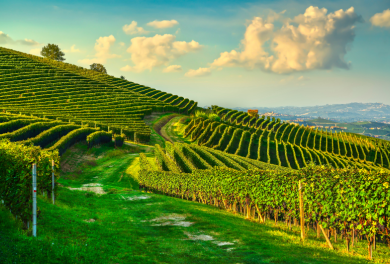 Degustazione di vino e cioccolato