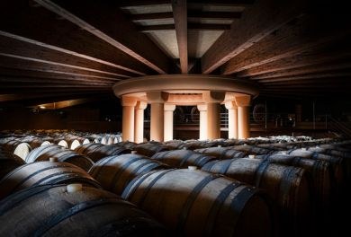 Dal terroir al calice: tour guidato nelle vigne nella cantina Bellavista