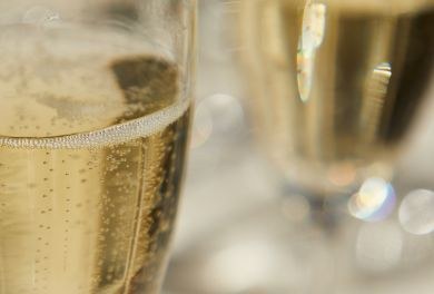 Dal terroir al calice: tour guidato nelle vigne nella cantina Bellavista