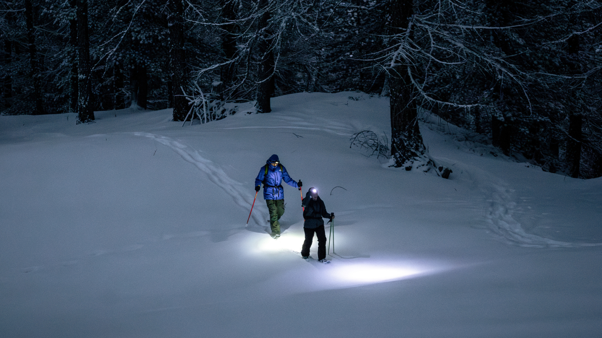 Ciaspolata tra le stelle con cena