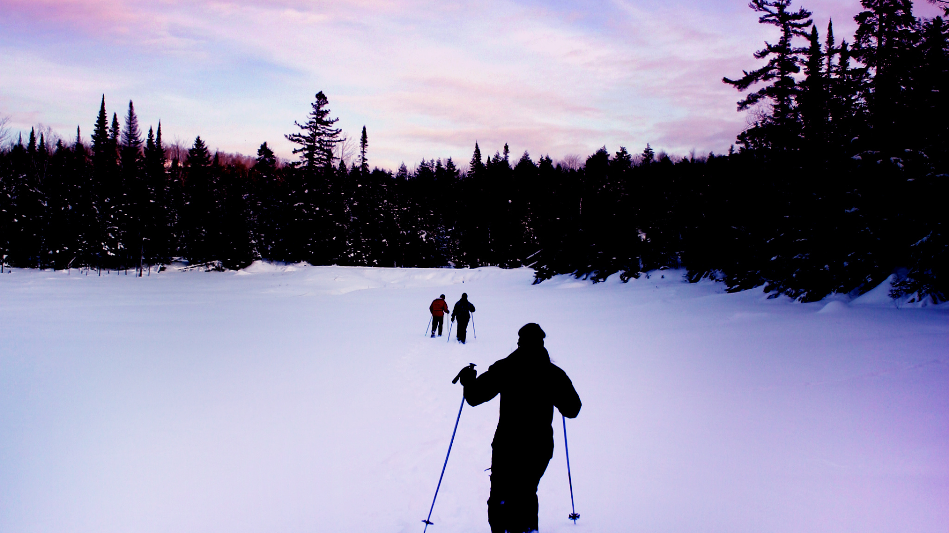 Ciaspolata tra le stelle con cena