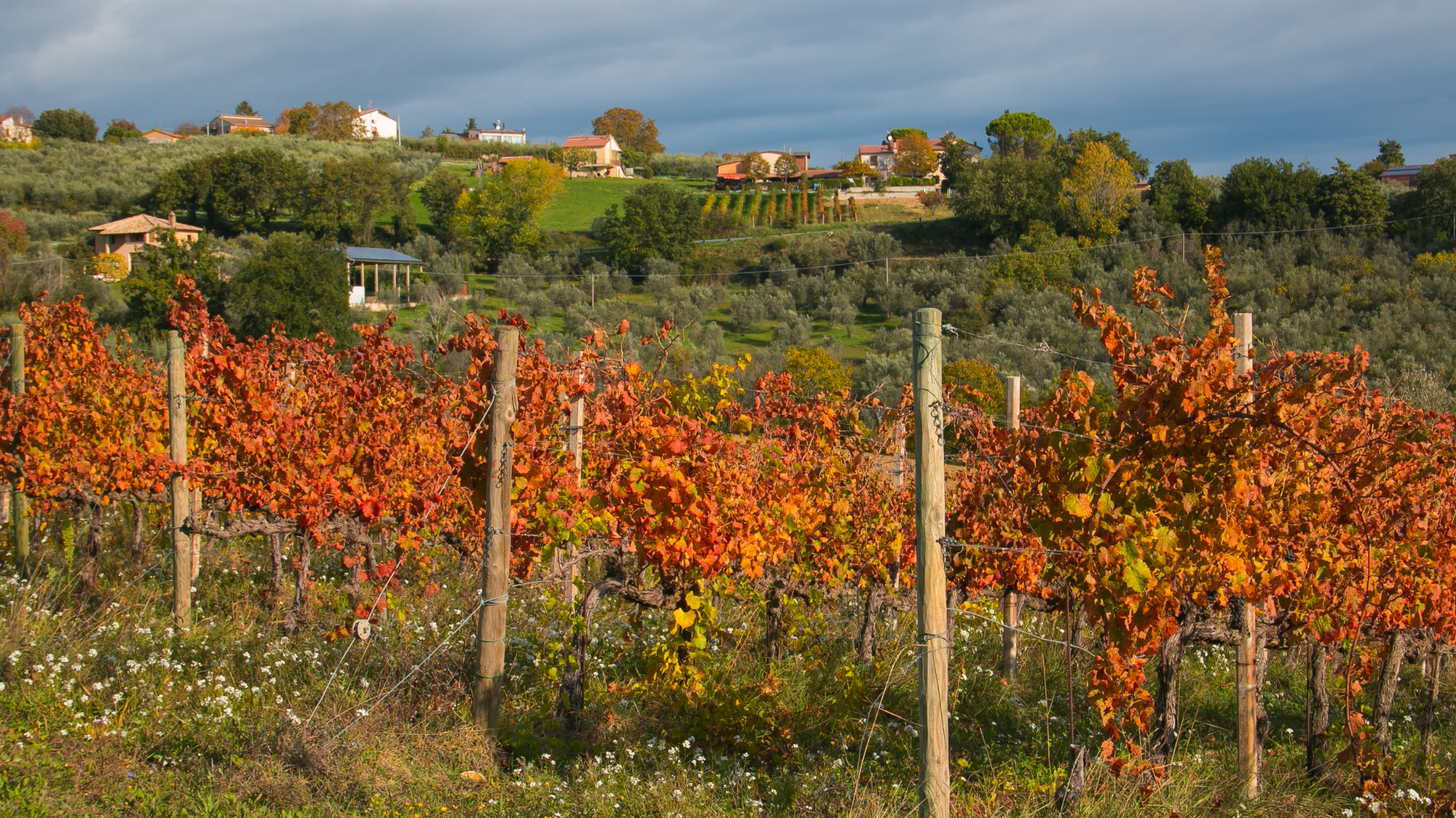 Tour in Vespa tra vigneti e villaggi dell'Umbria