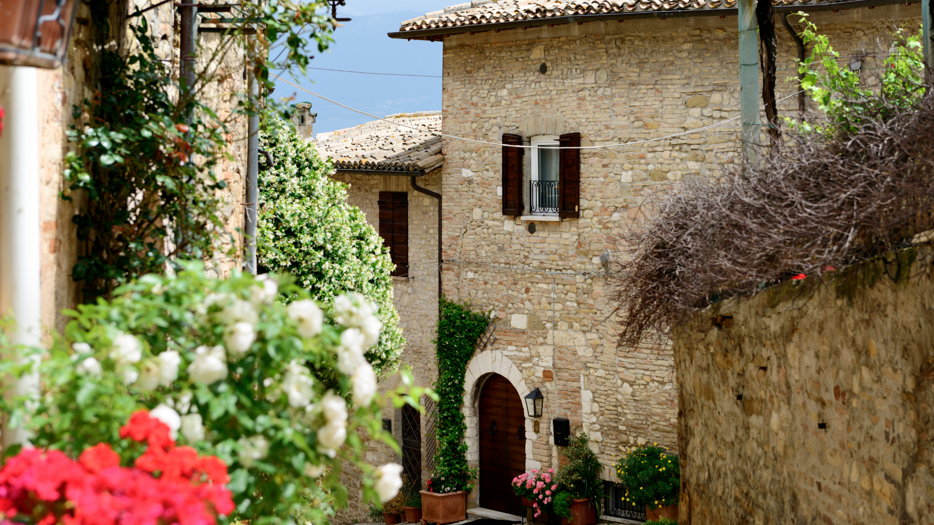 Tour in Vespa tra vigneti e villaggi dell'Umbria