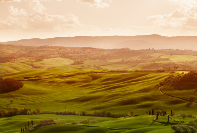 Horseback riding nelle bellezze della campagna toscana