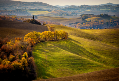 Horseback riding nelle bellezze della campagna toscana