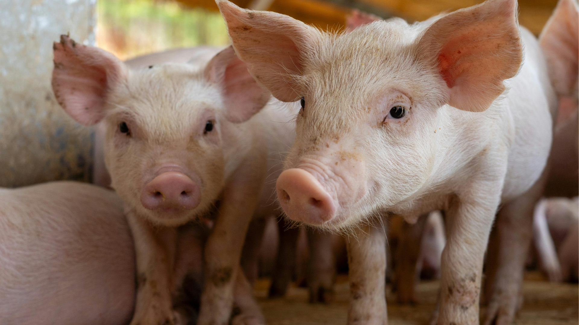 Evasione nella natura in famiglia