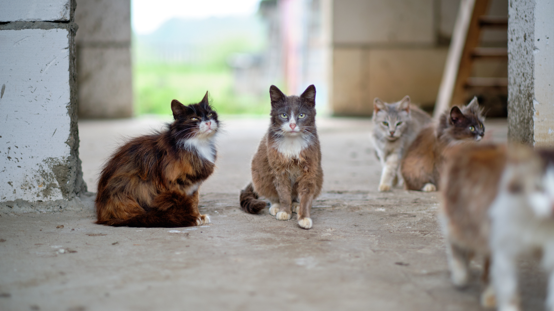 Evasione nella natura in famiglia