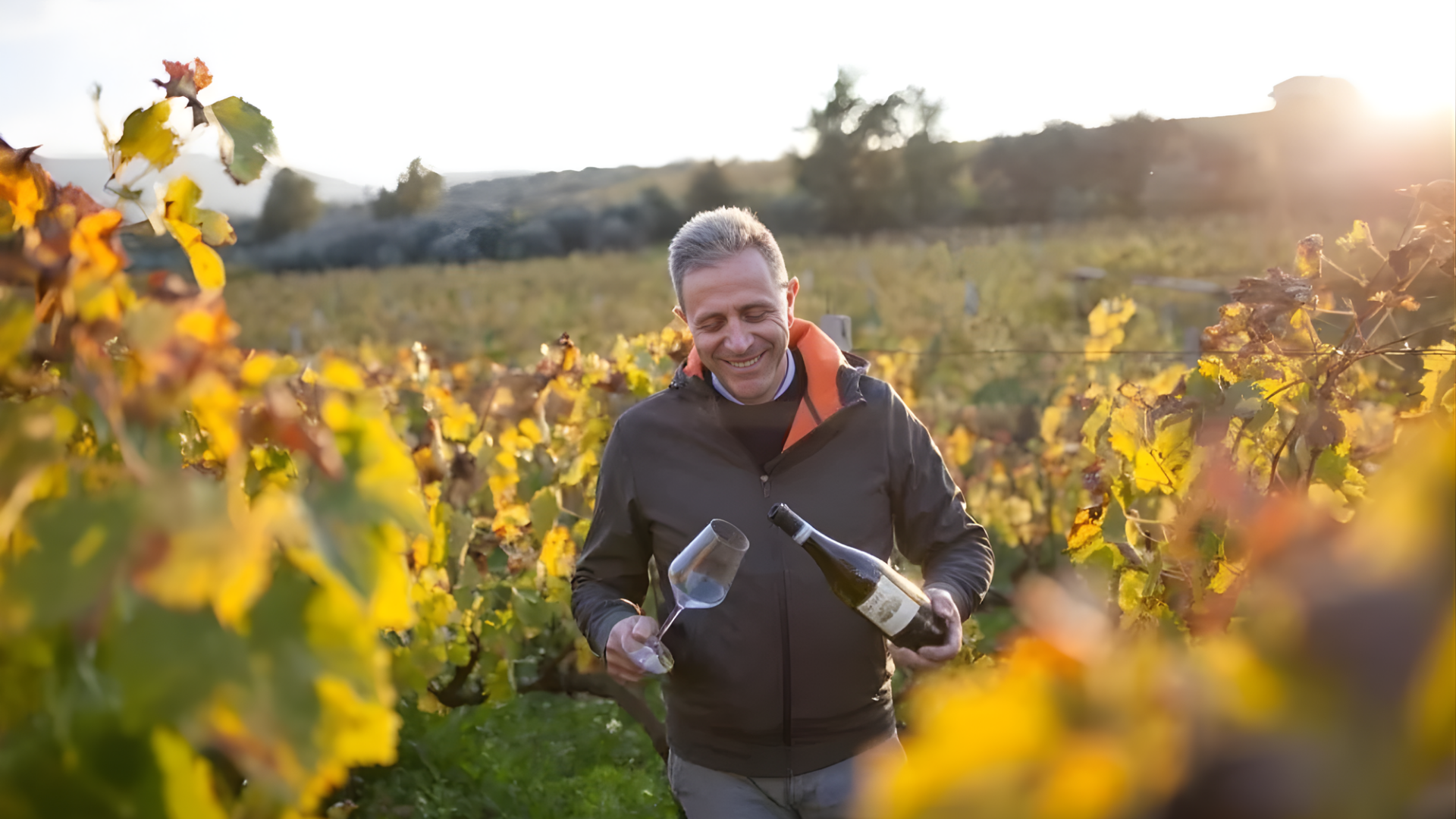 Viaggio sensoriale tra vino e gastronomia