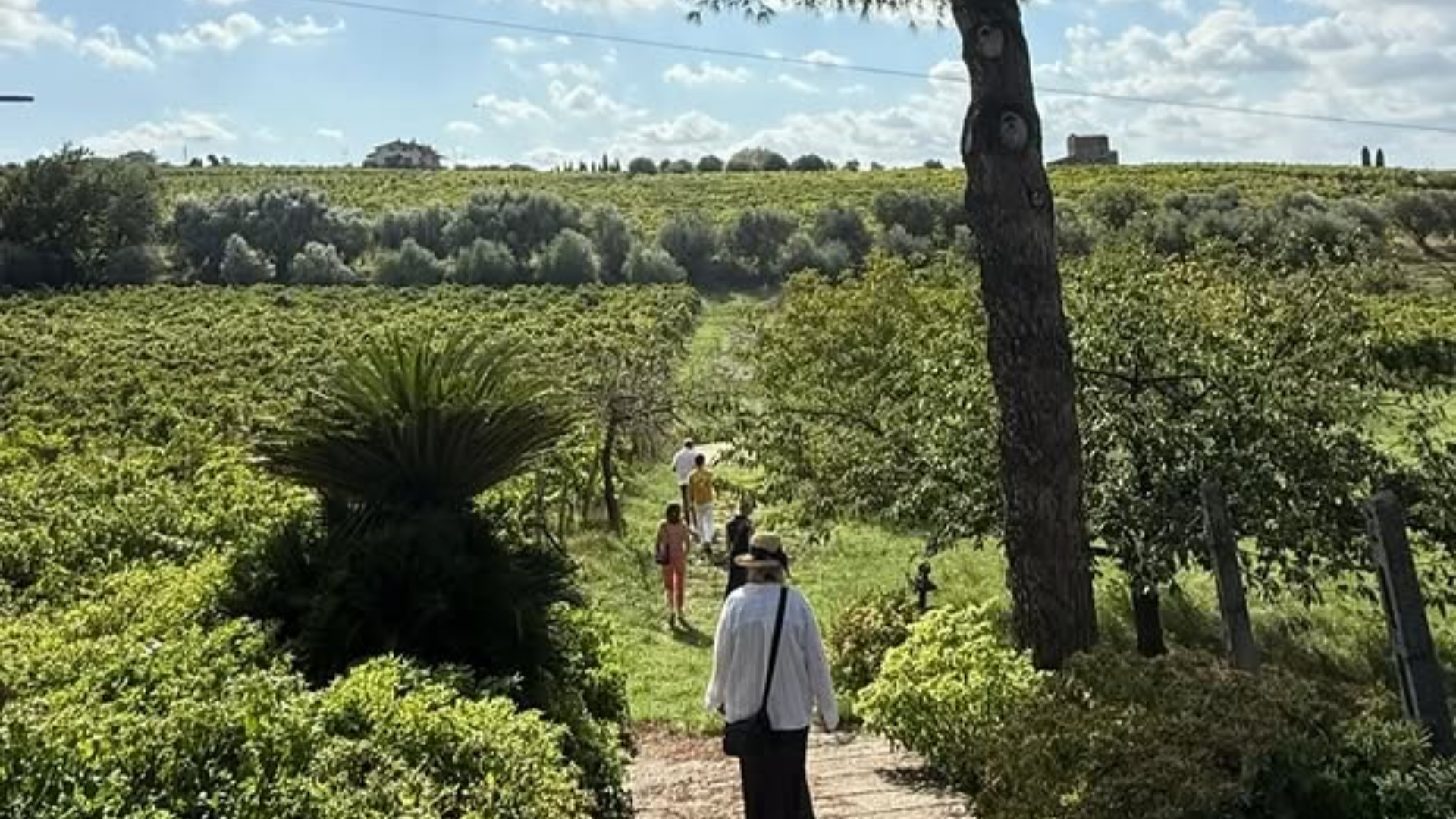 Viaggio sensoriale tra vino e gastronomia