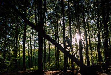 Avventure all'aria aperta al Parco del Mottarone